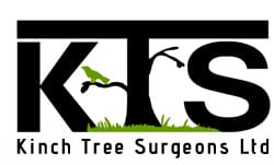 Tree Surgeon Maidstone